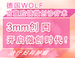 德国WOLF 宫腹腔镜微诊疗术